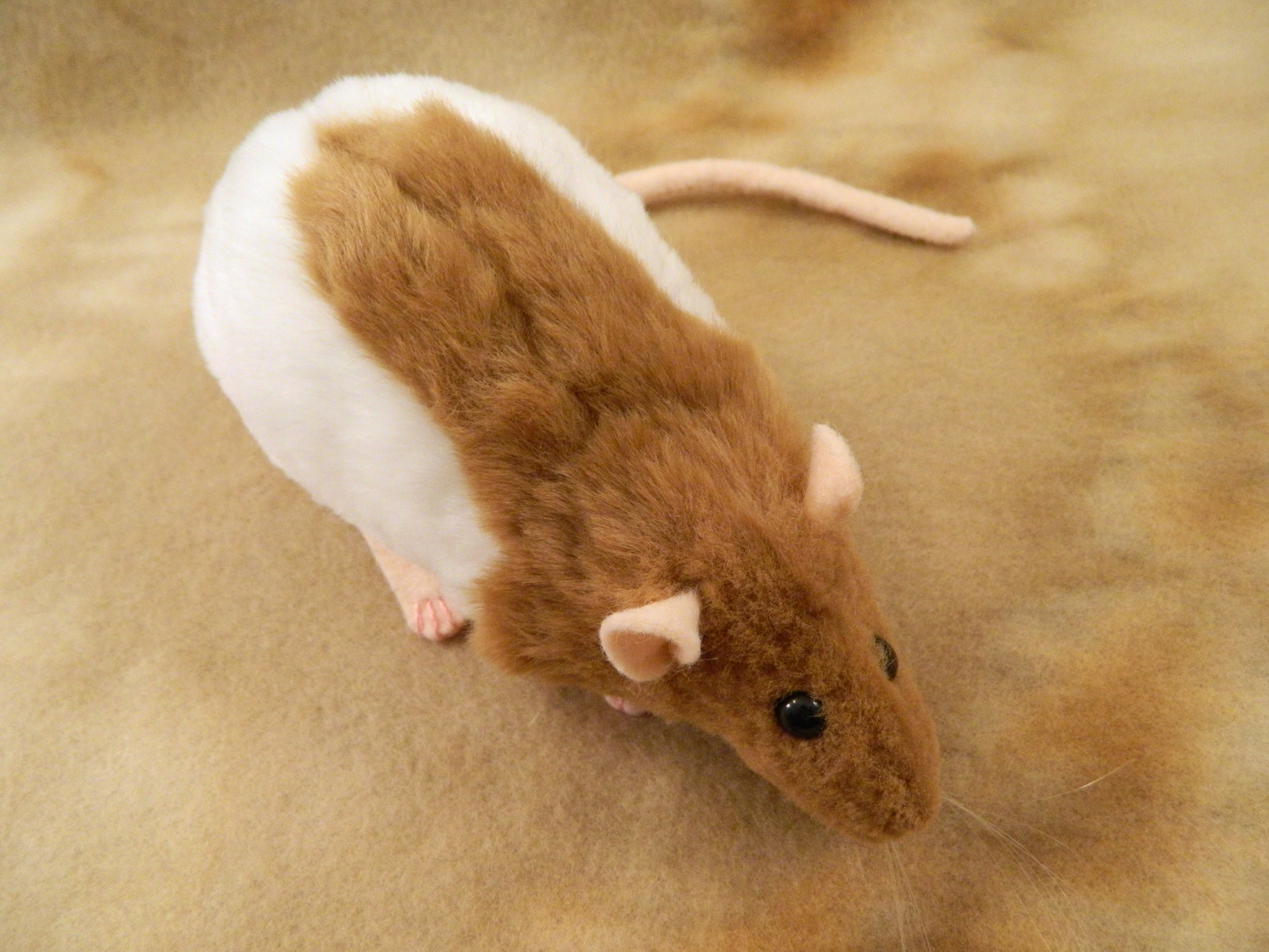 Fawn Half-Hooded Rat Plushie | Citrine Mouse
