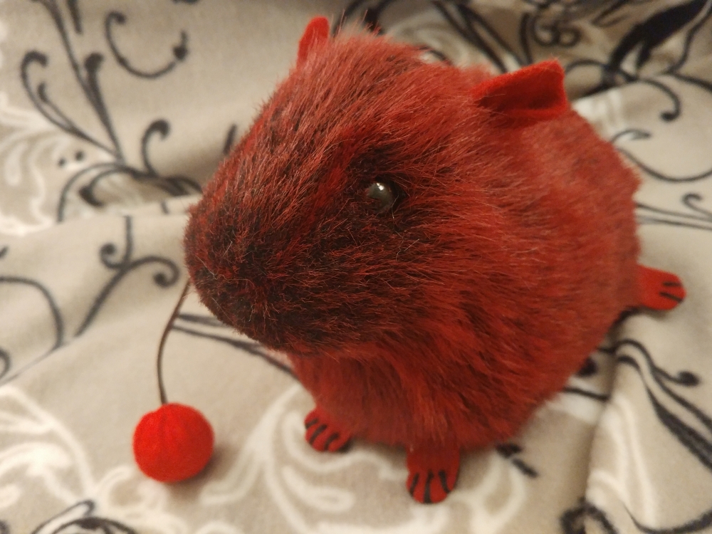 guinea pig cherry