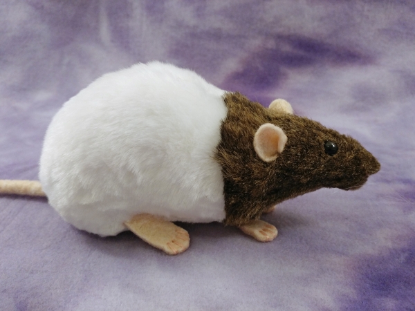 Agouti Brown Bareback Rat Plushie