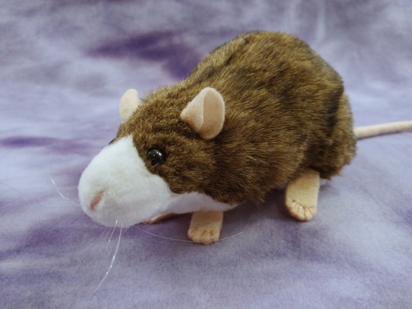 Agouti Brown Blazed Rat Plushie