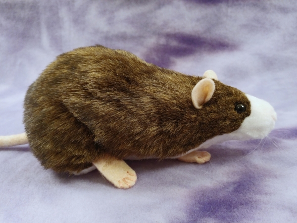 Agouti Brown Blazed Rat Plushie