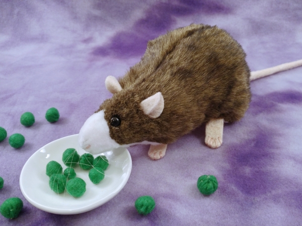 Agouti Brown Blazed Rat Plushie