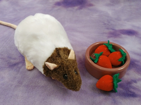 Agouti Brown Capped Rat Plushie