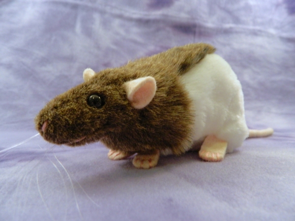 Agouti Brown Half-Hooded Rat Plushie