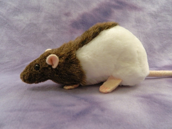 Agouti Brown Half-Hooded Rat Plushie