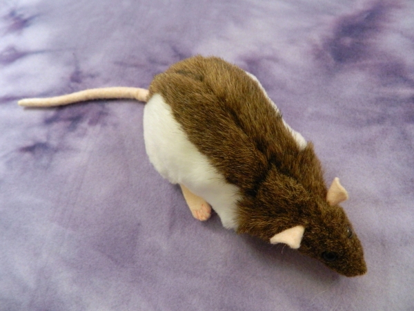 Agouti Brown Hooded Rat Plushie