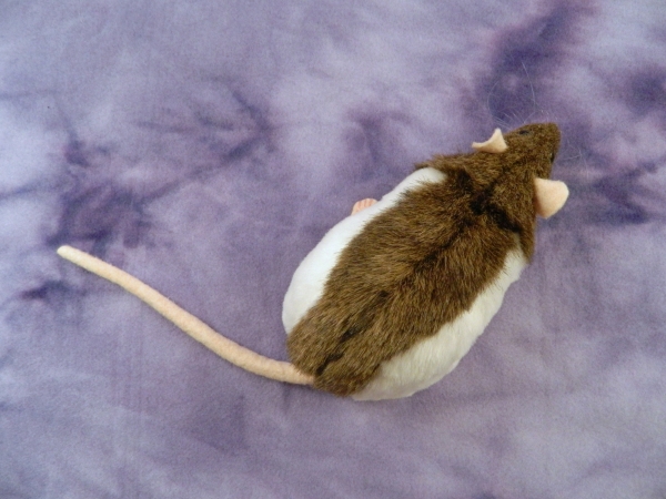 Agouti Brown Hooded Rat Plushie