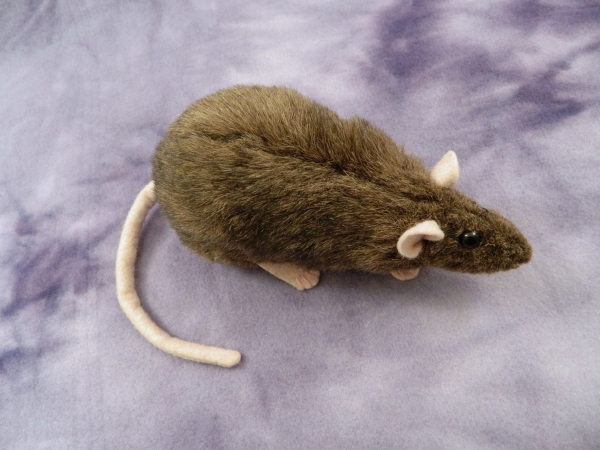 Agouti Brown Rat Plushie