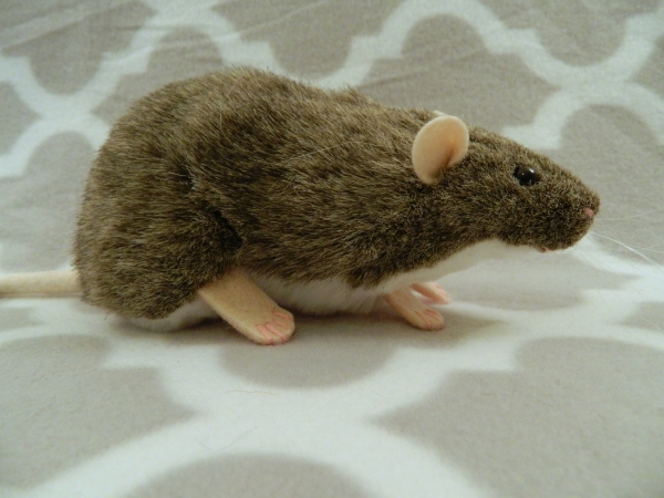 Agouti Grey Berkshire Rat Plushie