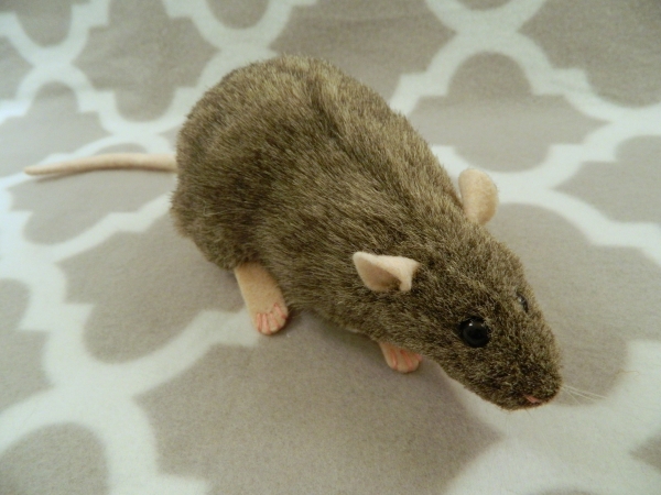 Agouti Grey Berkshire Rat Plushie