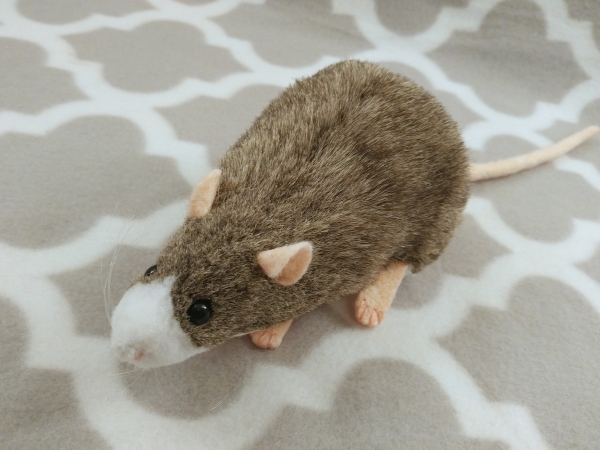 Agouti Grey Blazed Rat Plushie