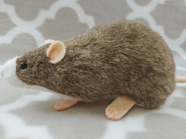 Agouti Grey Blazed Rat Plushie
