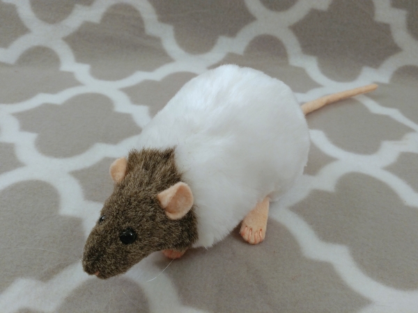 Agouti Grey Capped Rat Plushie