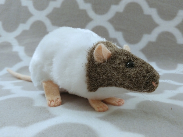 Agouti Grey Capped Rat Plushie