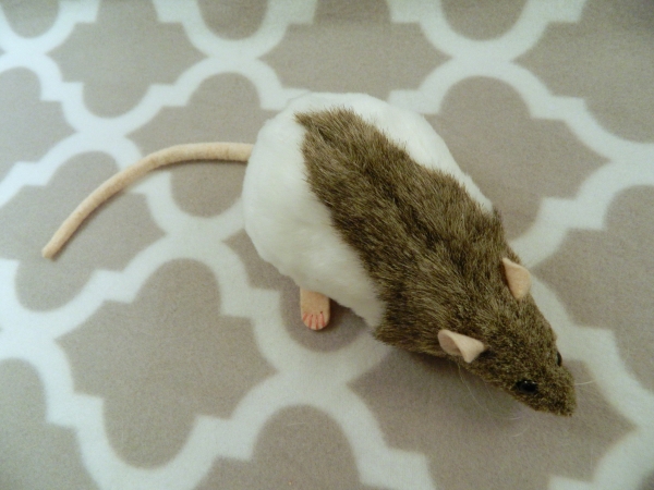 Agouti Grey Half-Hooded Rat Plushie