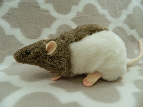 Agouti Grey Half-Hooded Rat Plushie