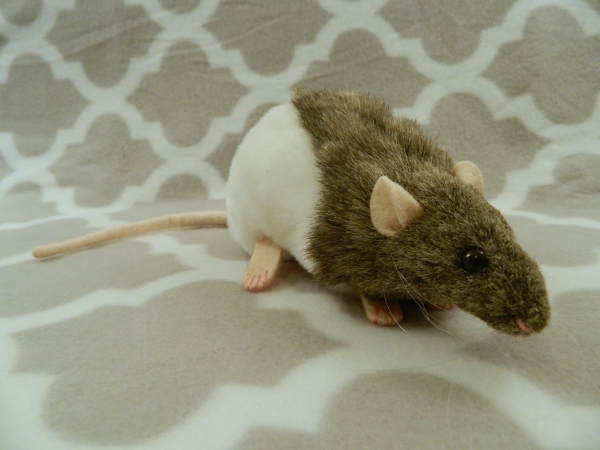 Agouti Grey Half-Hooded Rat Plushie