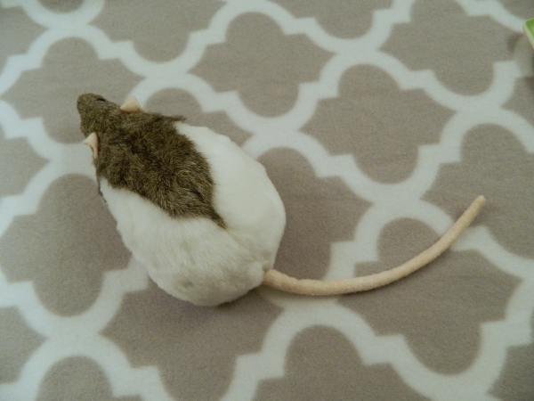 Agouti Grey Half-Hooded Rat Plushie