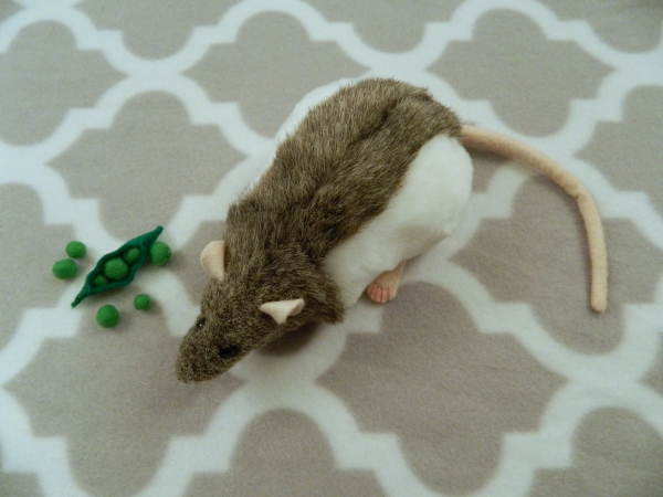 Agouti Grey Hooded Rat Plushie