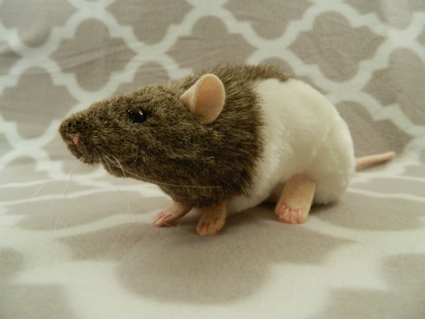 Agouti Grey Hooded Rat Plushie