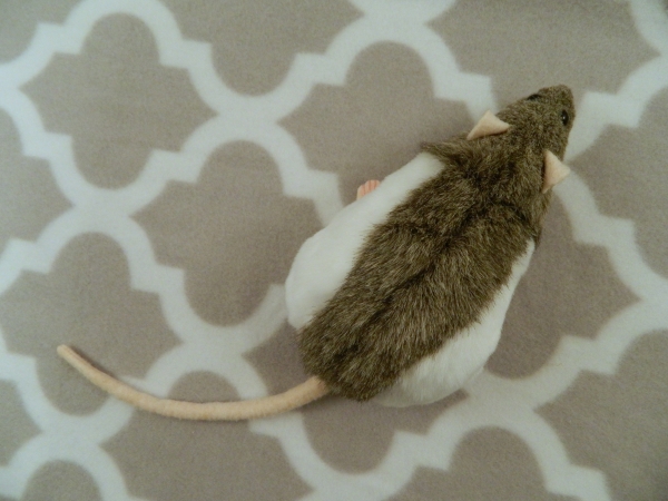 Agouti Grey Hooded Rat Plushie