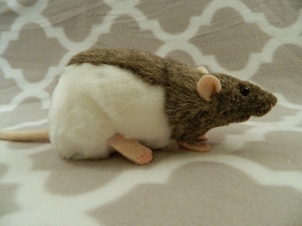 Agouti Grey Hooded Rat Plushie