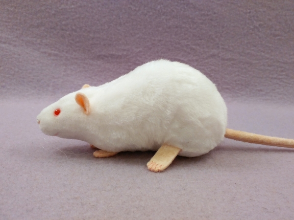 White Rat Plushie