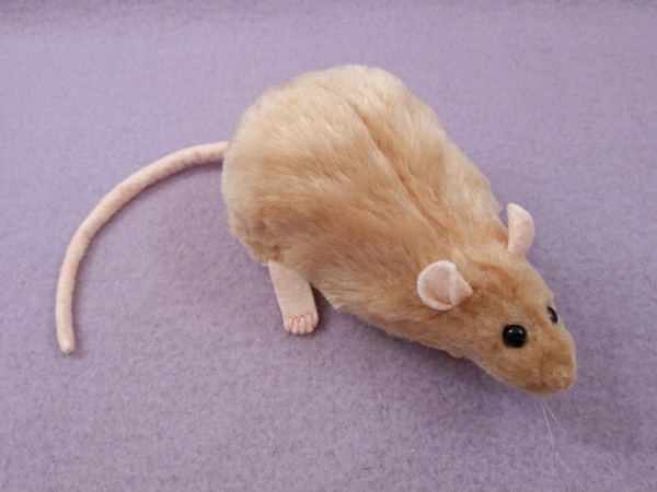 Beige Berkshire Rat Plushie
