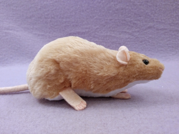 Beige Berkshire Rat Plushie