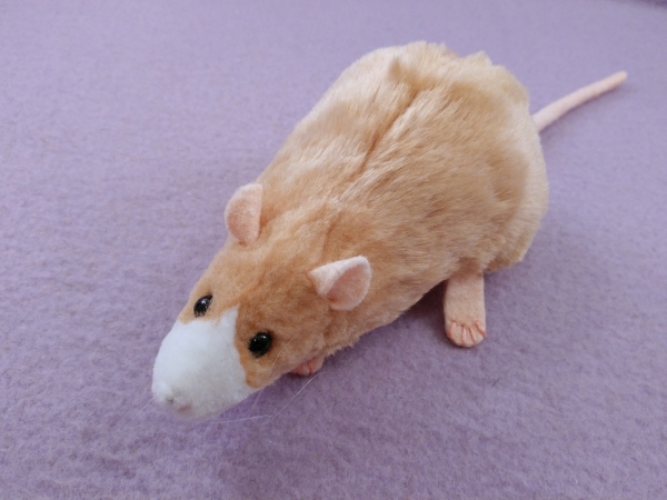 Beige Blazed Rat Plushie