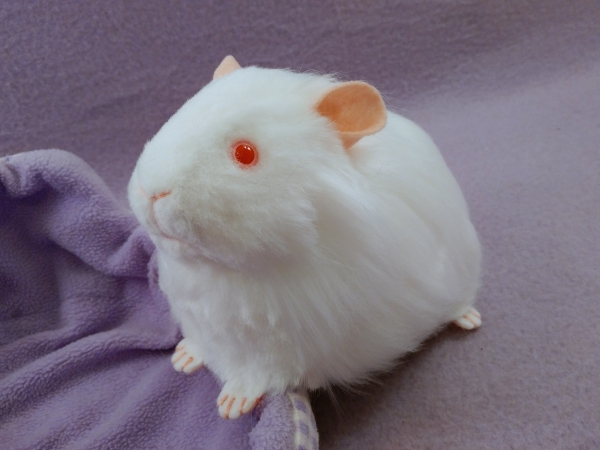Big White Guinea Pig Plushie