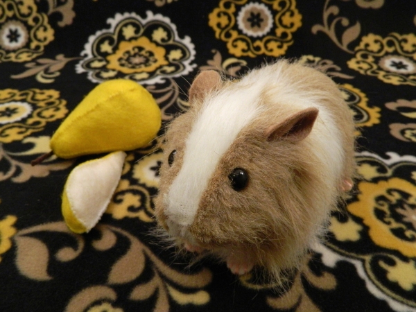 Big Beige Dutch Longhaired Guinea Pig Plushie