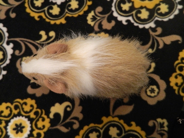 Big Beige Dutch Longhaired Guinea Pig Plushie