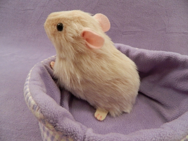 Big Beige Guinea Pig Plushie