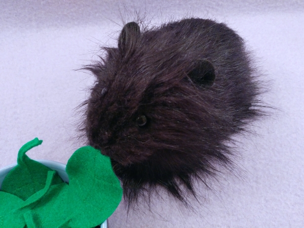 Big Black Longhaired Guinea Pig Plushie