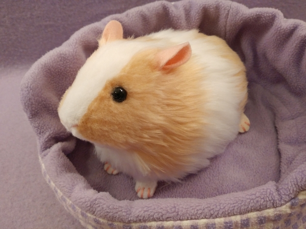 Big Buff Dutch Guinea Pig Plushie