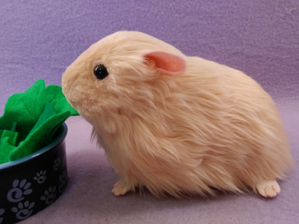 Big Buff Guinea Pig Plushie