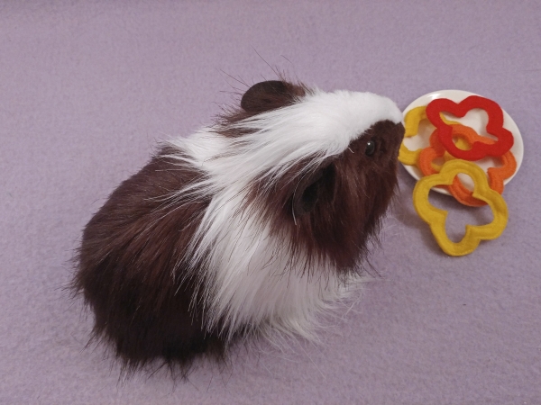 Big Dark Brown Dutch Longhaired Guinea Pig Plushie
