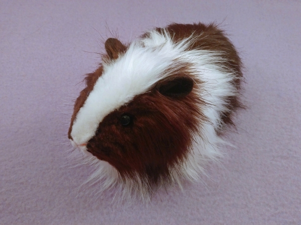 Big Dark Brown Dutch Longhaired Guinea Pig Plushie