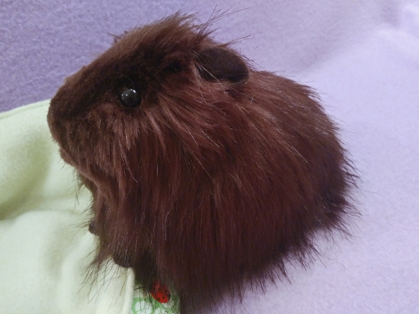 Big Dark Brown Longhaired Guinea Pig Plushie