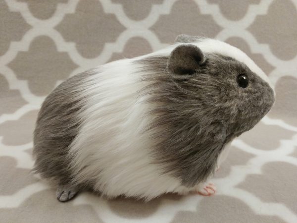 Big Grey Dutch Guinea Pig Plushie