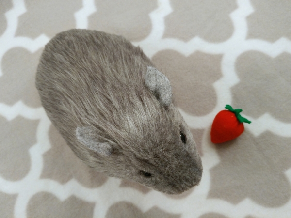 Big Grey Guinea Pig Plushie