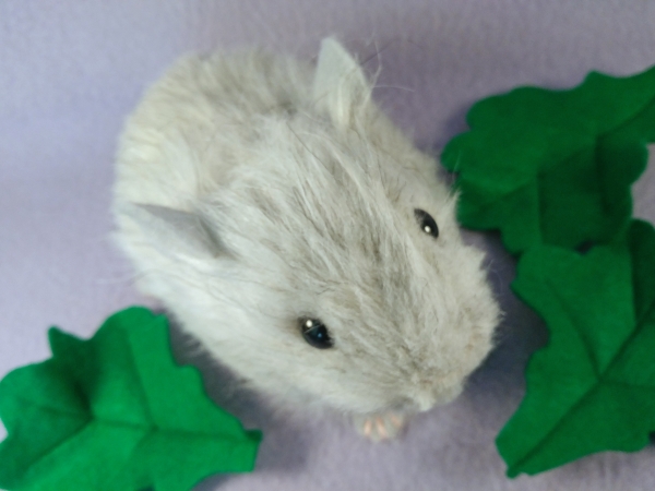Big Light Grey Guinea Pig Plushie