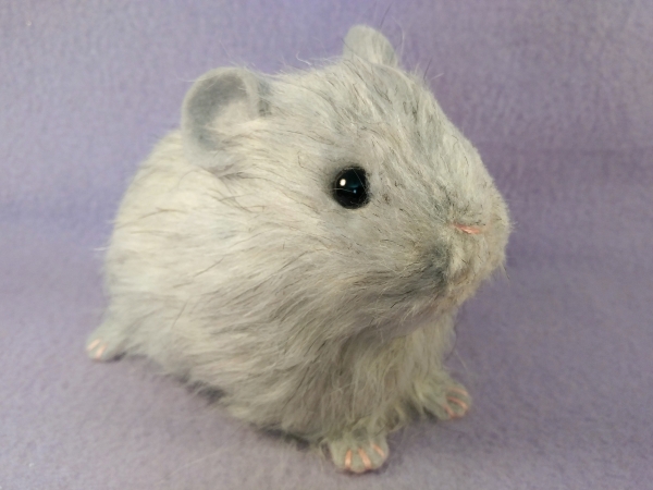 Big Light Grey Guinea Pig Plushie