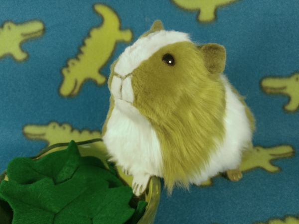 Big Pea Green Dutch Guinea Pig Plushie