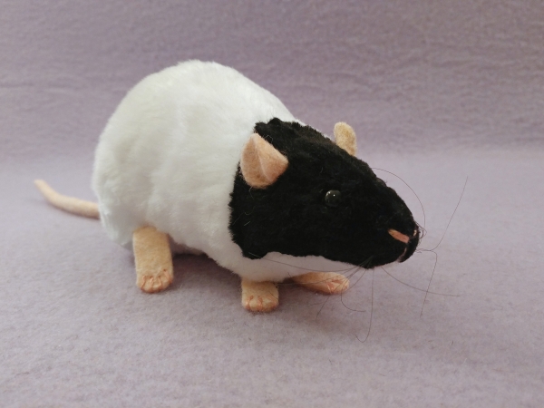 Black Capped Rat Plushie