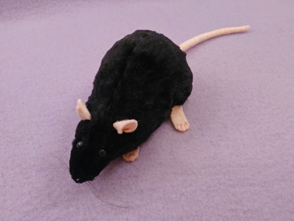 Black Rat Plushie