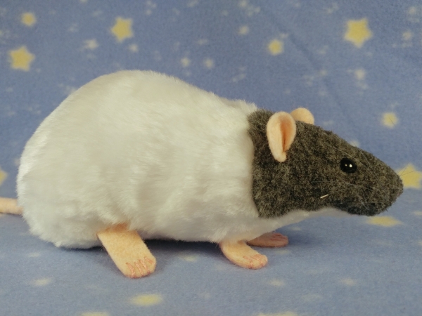 Blue Grey Capped Rat Plushie