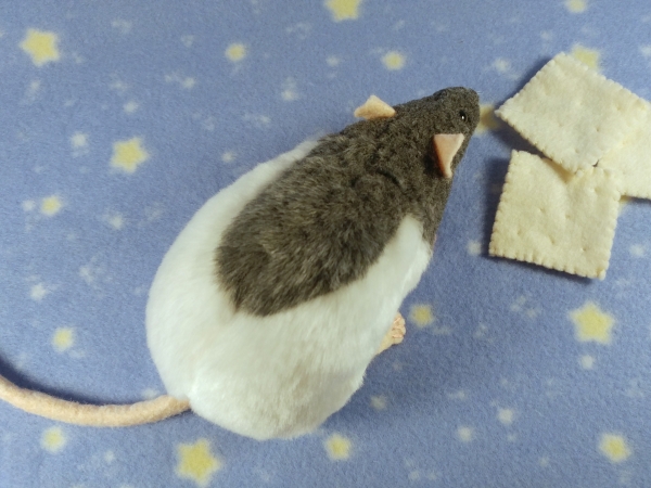 Blue Grey Half-Hooded Rat Plushie
