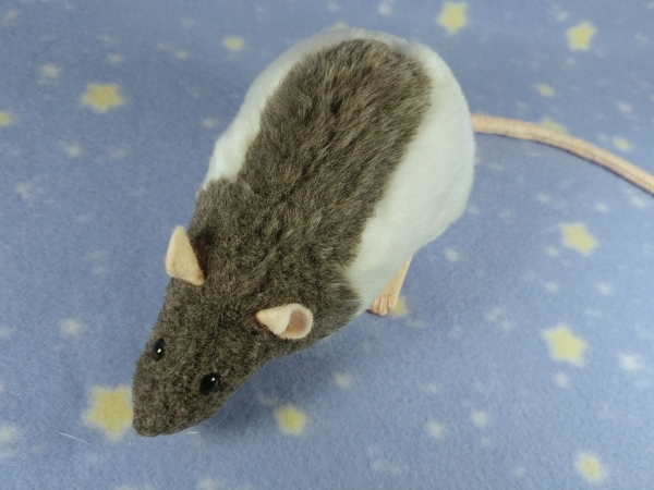 Blue Grey Half-Hooded Rat Plushie